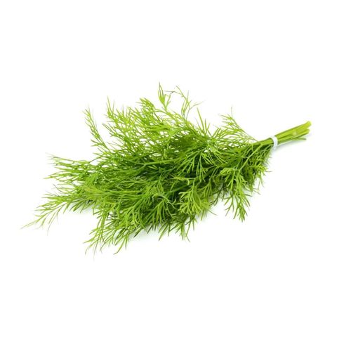 Dill, Bio Knospe Schweiz