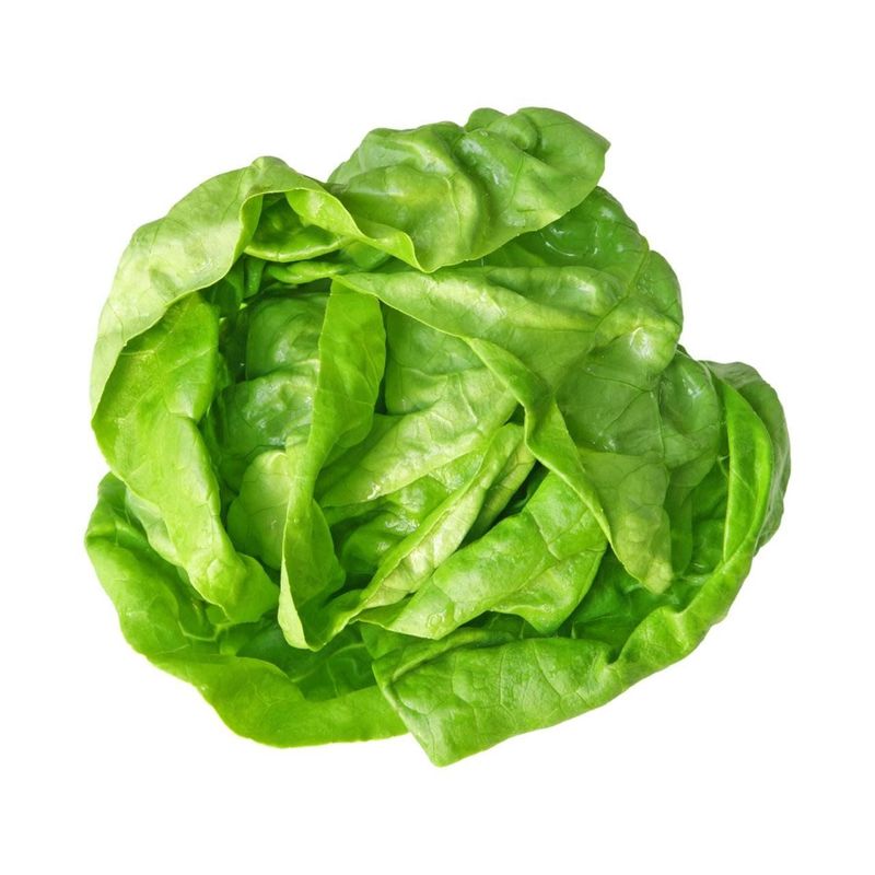 Kopfsalat grün, Demeter