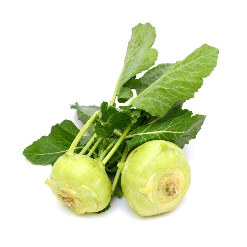 Kohlraben, Bio Knospe Schweiz